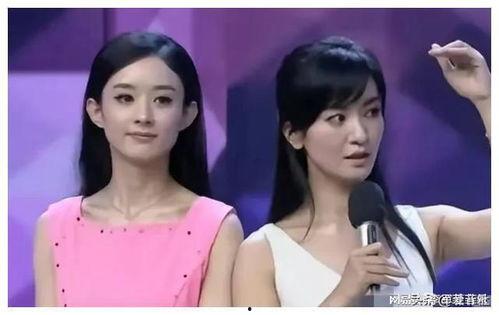 娱乐圈吃瓜爆料紫色兔子,紫色兔子背后的惊人真相