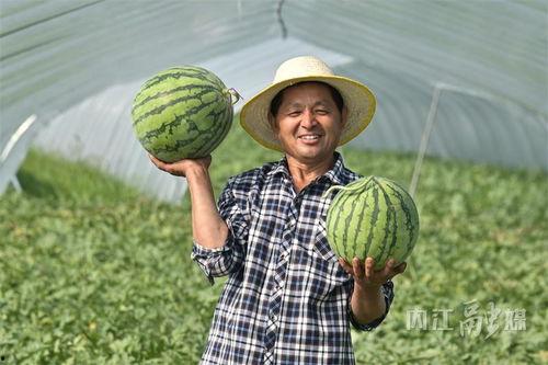 扎西枫丹娱乐吃瓜,揭秘娱乐圈最新吃瓜事件