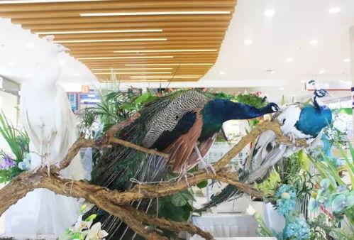 郑州吃瓜娱乐官网,揭秘城市美食与娱乐新风向