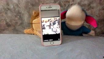 娱乐吃瓜lg,吃瓜群众背后的故事