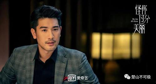 吃瓜者侃娱乐高以翔,吃瓜群众热议，娱乐圈再掀波澜