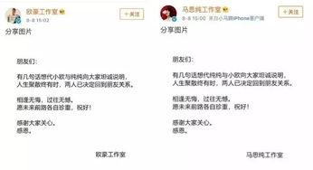 娱乐圈吃瓜张翰视频,揭秘明星幕后故事