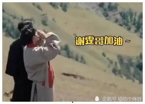 吃瓜娱乐爆料姐弟恋视频,姐弟恋视频曝光，甜蜜互动引网友热议