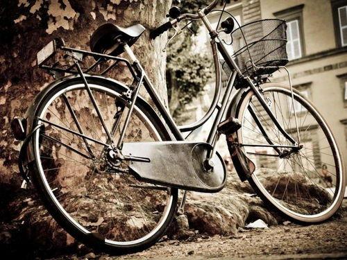 娱乐吃瓜酱自行车