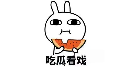 娱乐吃瓜君励志,从吃瓜达人到励志偶像的蜕变之路